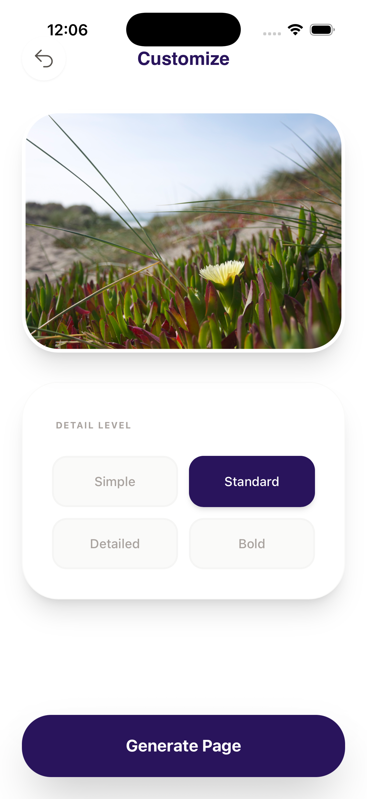 Customize detail level in ColorMyPic